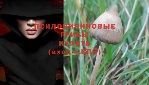 ALPHA PVP Балахна