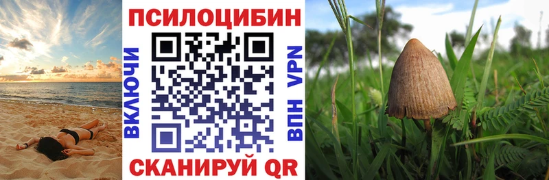 Галлюциногенные грибы ЛСД  Горячий Ключ 